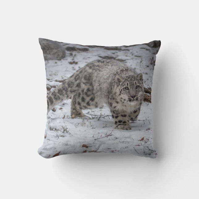 Snow Leopard Cub Stalking Cushion (Front)