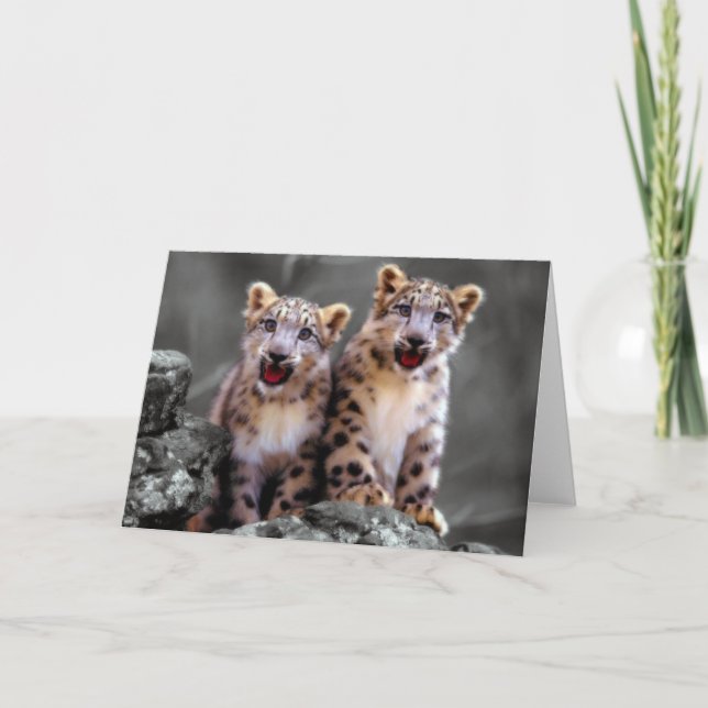 Snow Leopard Cubs Card (Front)