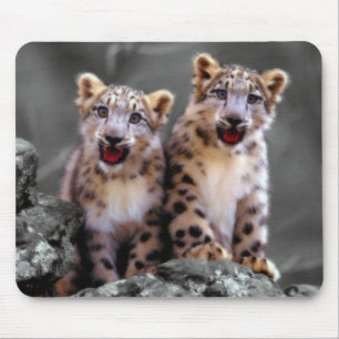 Snow Leopard Cubs Mouse Mat