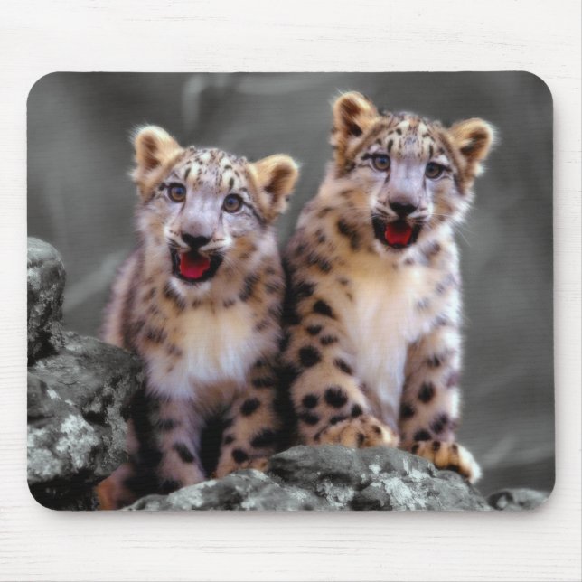 Snow Leopard Cubs Mouse Mat (Front)