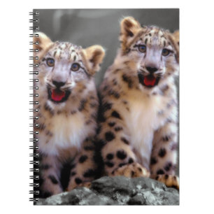 Snow Leopard Cubs Notebook