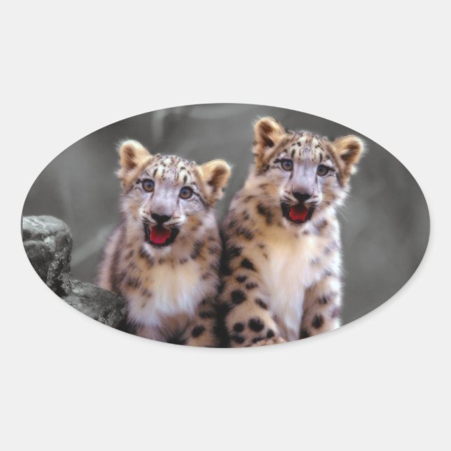 Snow Leopard Cubs Oval Sticker (Front)