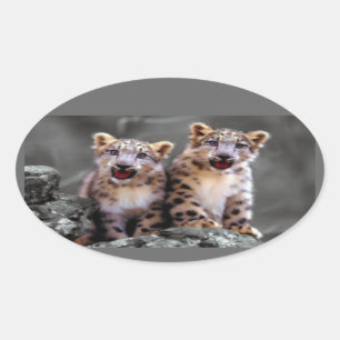 Snow Leopard Cubs Oval Sticker