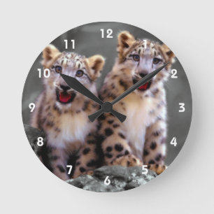 Snow Leopard Cubs Round Clock