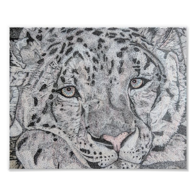 Snow leopard drawing, Snow leopard design, Cat. Photo Print (Front)