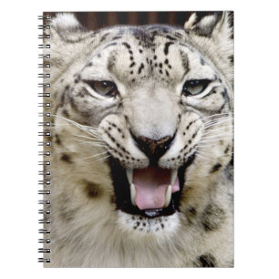 Snow Leopard Face Notebook