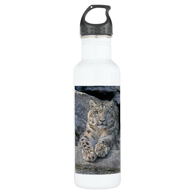 Snow Leopard Following Eyes 710 Ml Water Bottle (Front)