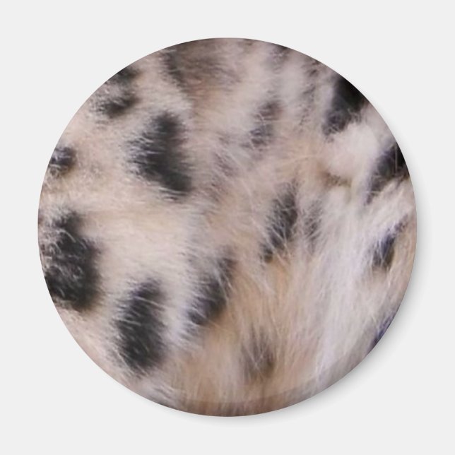 Snow Leopard Fur Magnet (Front)