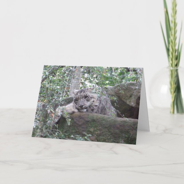 Snow Leopard Greeting Card (Front)