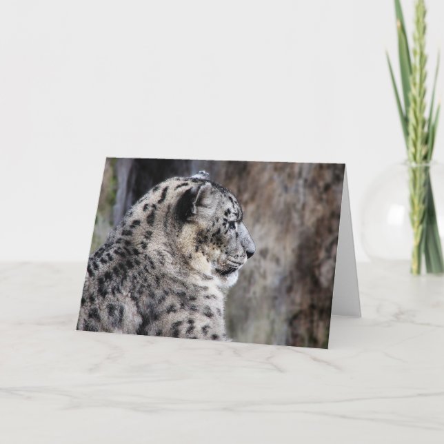 Snow leopard greeting card (Front)