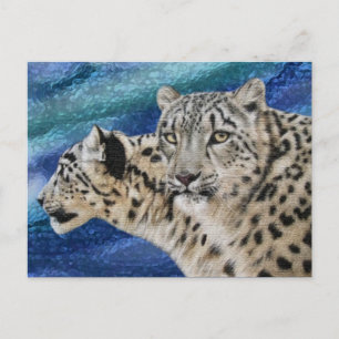 Snow Leopard Habitat Postcards