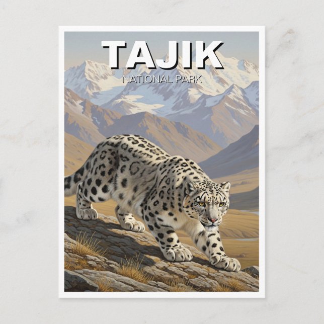Snow Leopard in Tajik National Park Tajikistan Postcard (Front)