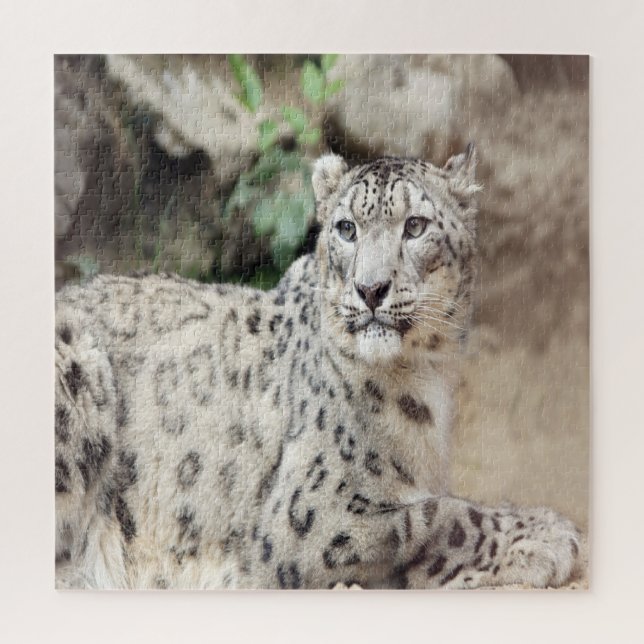 Snow Leopard Jigsaw Puzzle (Vertical)