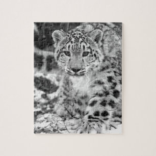 Snow Leopard Jigsaw Puzzle