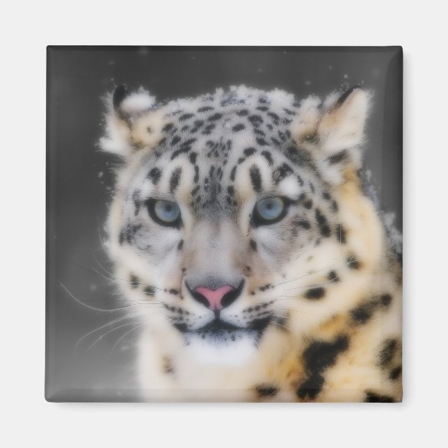 Snow Leopard Magnet (Front)