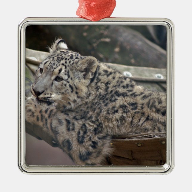 Snow Leopard Metal Tree Decoration (Front)