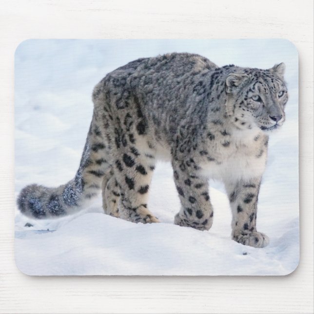 Snow leopard mouse mat (Front)
