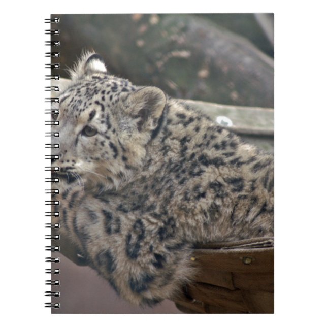 Snow Leopard Notebook (Front)