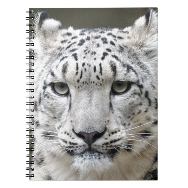 Snow Leopard Notebook (Front)