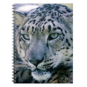 Snow Leopard Notebook