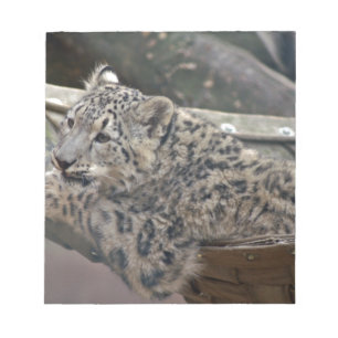 Snow Leopard Notepad