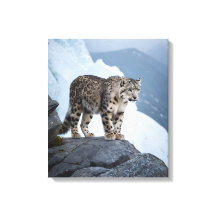 Snow Leopard on a Frozen Peak