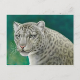 Snow Leopard Postcard