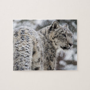 Snow Leopard Profile in Snow Jigsaw Puzzle