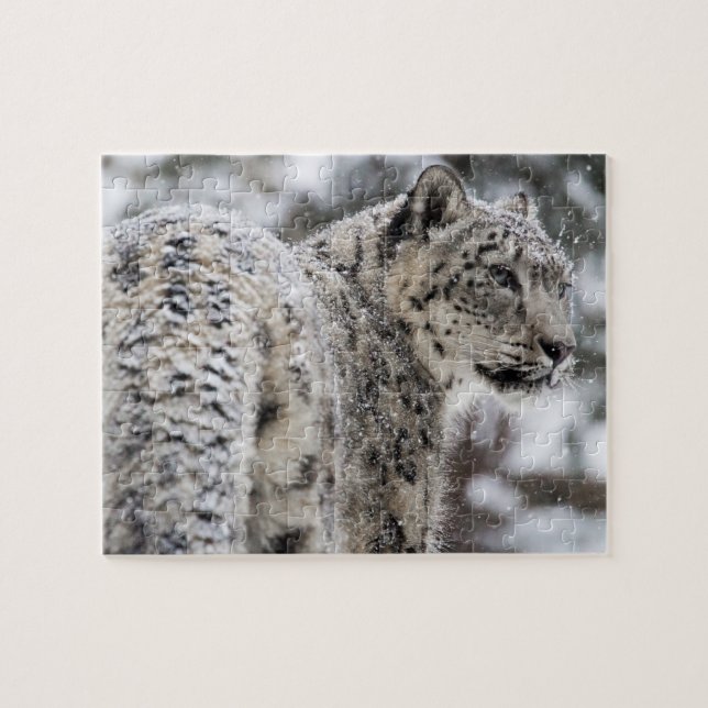 Snow Leopard Profile in Snow Jigsaw Puzzle (Horizontal)