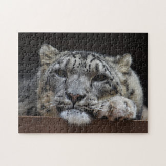 Snow Leopard puzzle