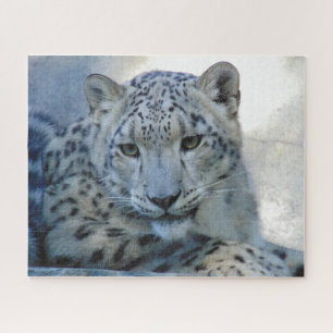 Snow leopard puzzle