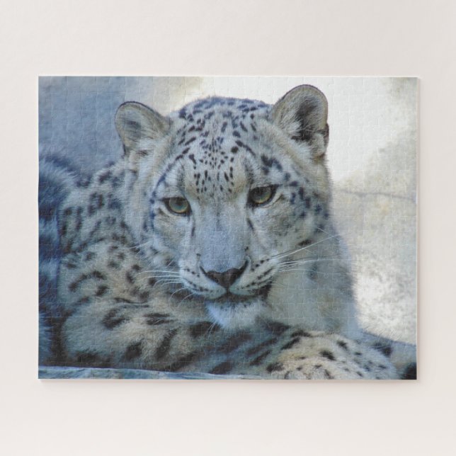 Snow leopard puzzle (Horizontal)