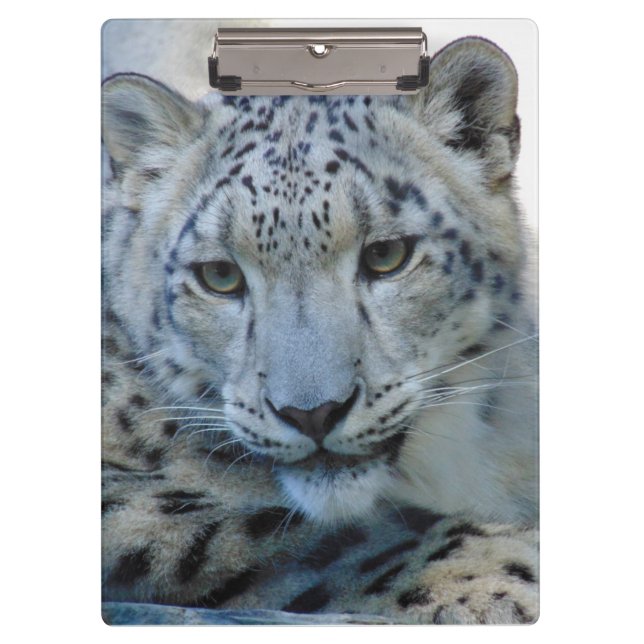 Snow leopard puzzle clipboard (Front)