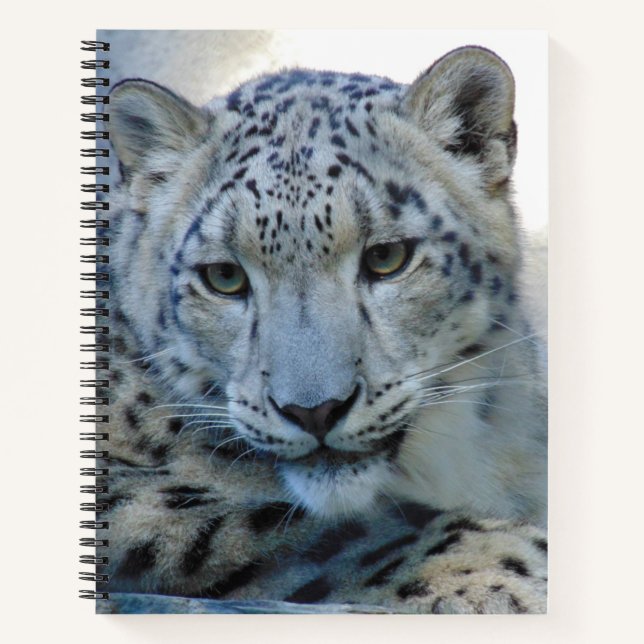 Snow leopard puzzle Spiral Notebook (Front)