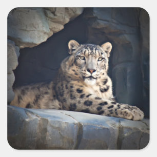 Snow Leopard Square Sticker