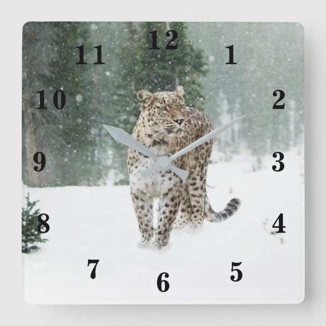 Snow Leopard Square Wall Clock (Front)