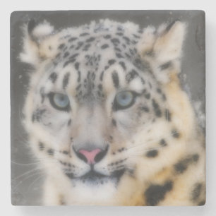 Snow Leopard Stone Coaster
