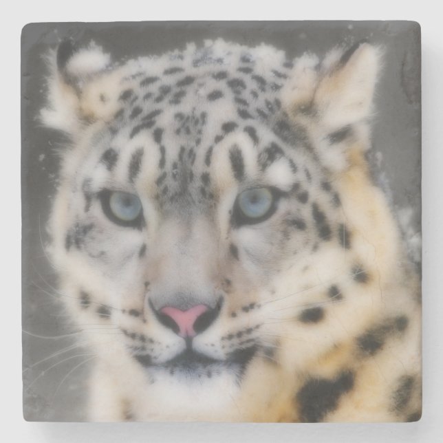 Snow Leopard Stone Coaster (Front)