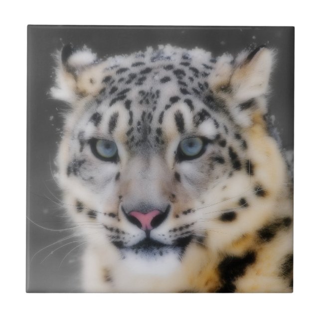 Snow Leopard Tile (Front)