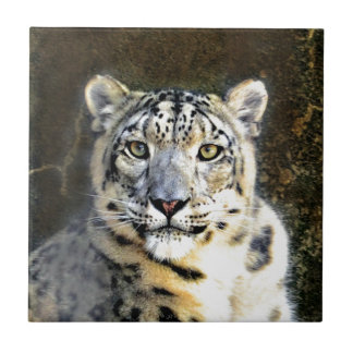 Snow Leopard Tile