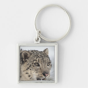 Snow leopard (Uncia uncia) 2 Key Ring