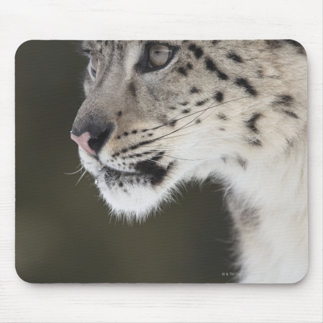 Snow leopard (Uncia uncia) Mouse Mat (Front)