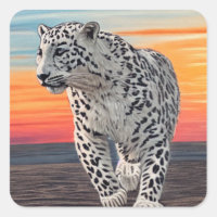 Snow Leopard Walking on the Beach During a Sunset