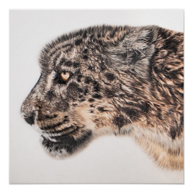 Snow leopard wall poster (Front)