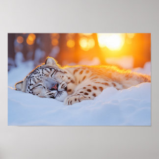 Snow Leopard Wild Animal Natural Environment Poster
