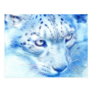 magicprefs for snow leopard