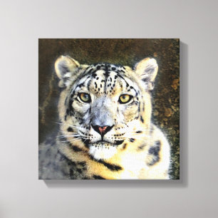 Snow Leopard Wrapped Canvas