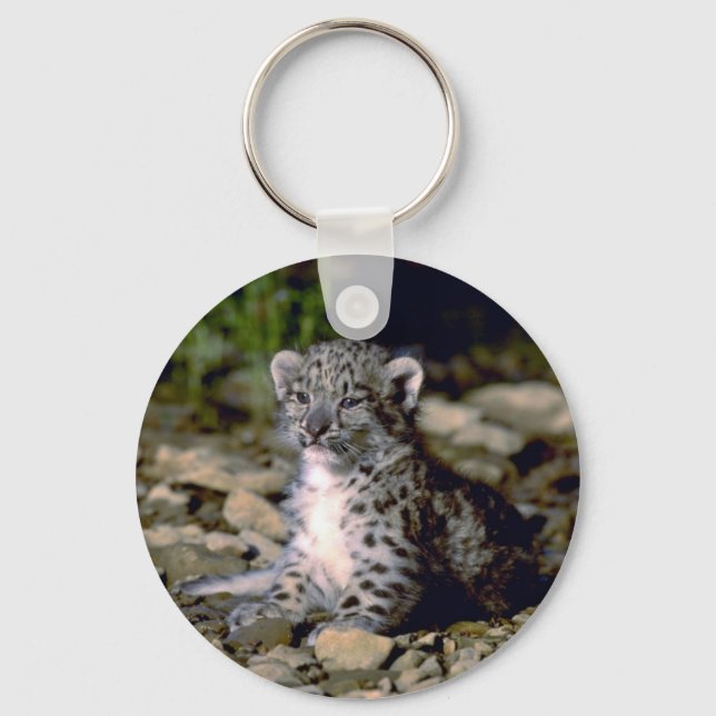 Snow leopard, young cub key ring (Front)