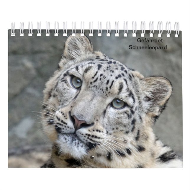 Snow leopards as a calendar (Cover)