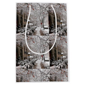 Snow Magic on 23rd St NYC Medium Gift Bag